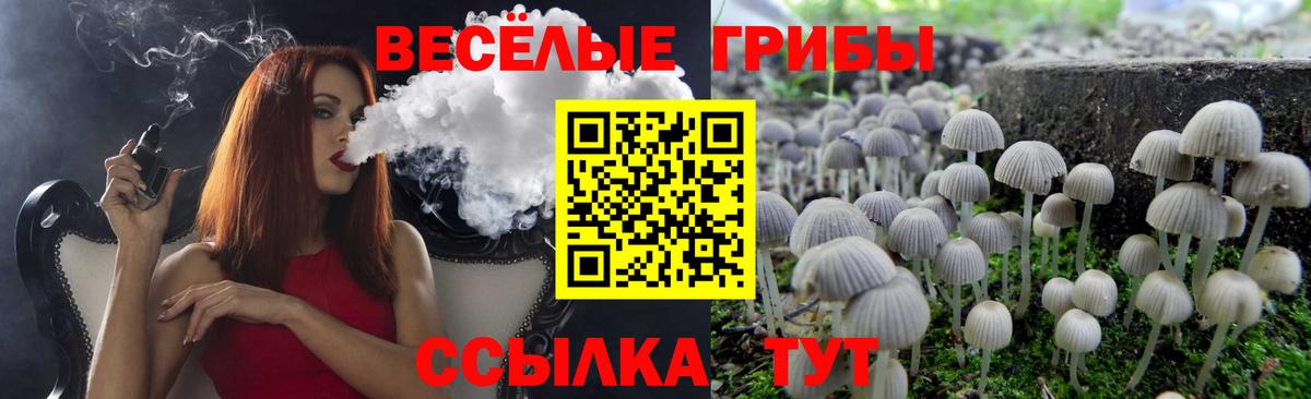 Галлюциногенные грибы Magic Shrooms Новосибирск
